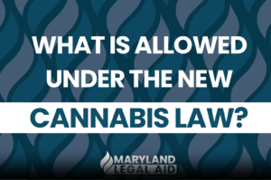 Image text reads: What is allowed under the new cannabis laws?